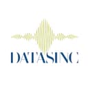 Logo Datasinc