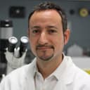 Foto di Enrico Giraudo